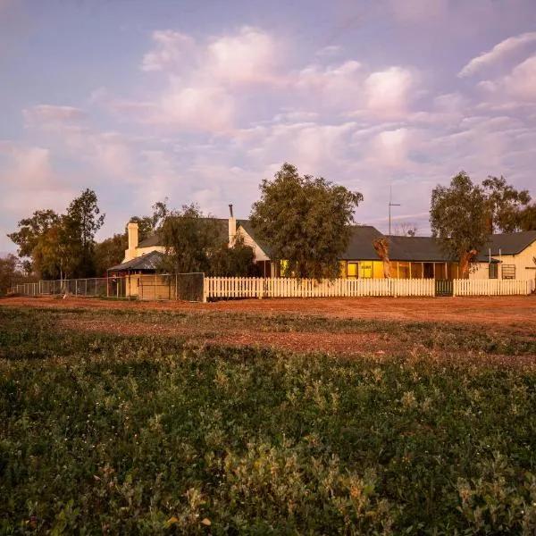 Mount Wood Homestead, hotel in Tibooburra
