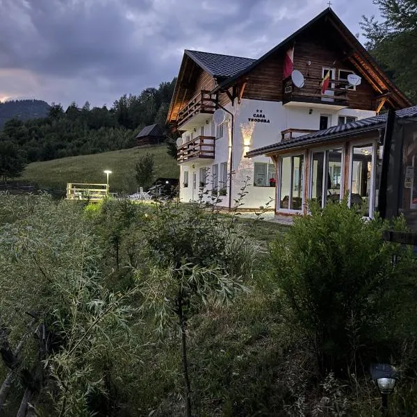 Casa Teodora, hotel a Albac