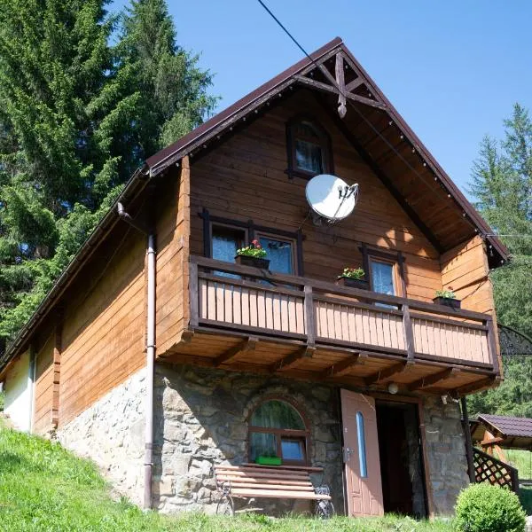 Котеджі "У Яни", hotel in Yablunytsya