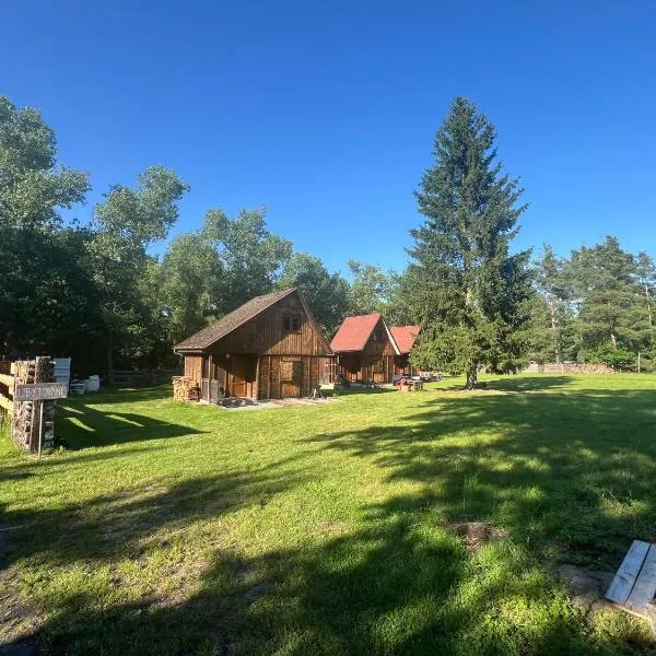 Koliba Hoděšovice, hotel in Býšť