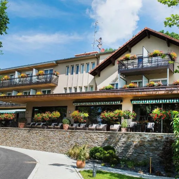 Hôtel Restaurant Logis Auberge Sundgovienne, hotel in Carspach