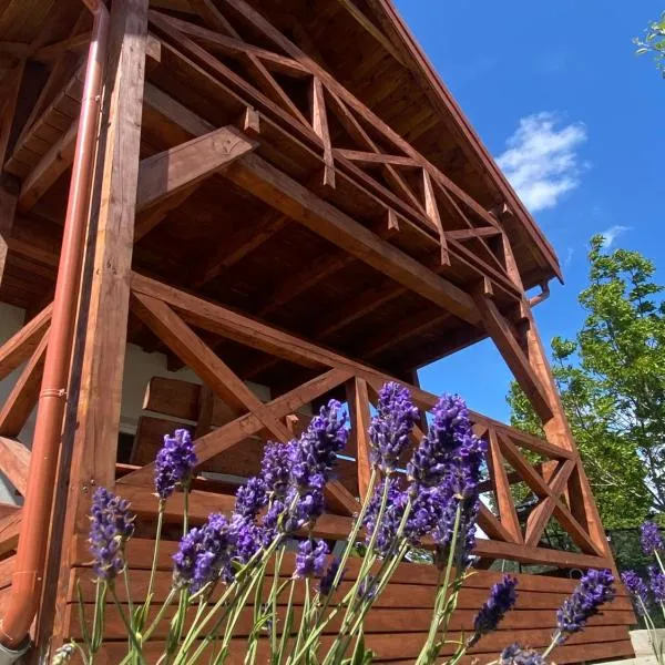 Domki pod Brzózką, ξενοδοχείο σε Prażmowo