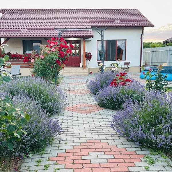 Mountain View House Brasov, hotel en Brasov