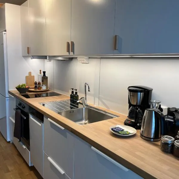 Studio apartment near Narvikfjell Gondola, hotel em Narvik