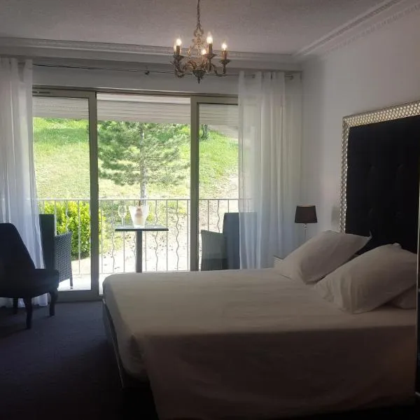 Hôtel Les Deux Lions, hotel in Riez