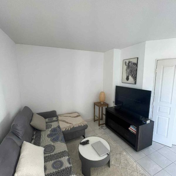 Superbe appartement à Lyon8 avec 2 balcons, Lyon