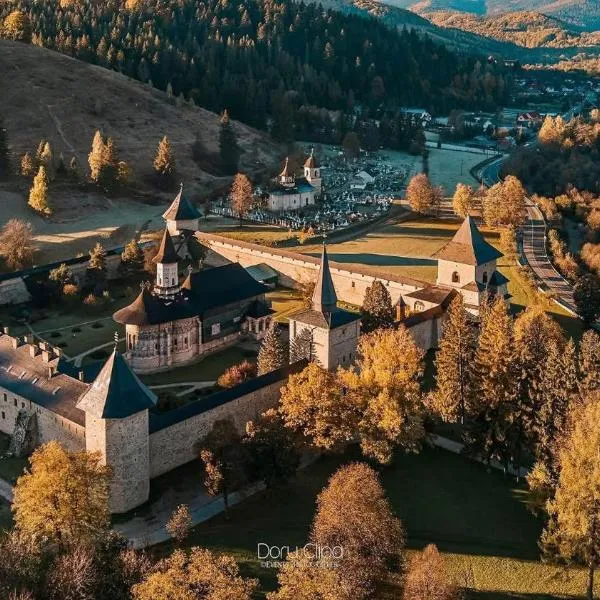 Casa Adi Sucevița, Hotel in Voivodeasa