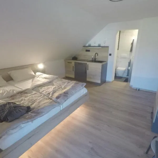 MaxLux Apartments，位于斯洛文尼亚格拉代茨的酒店