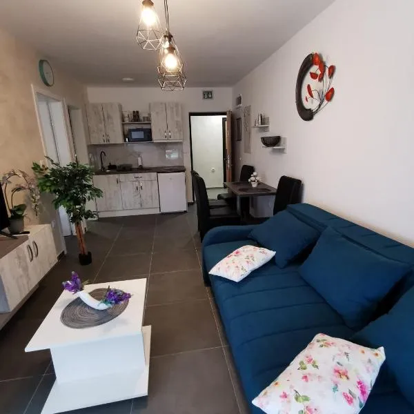 Apartman Goga 1, hotel em Veliko Gradište