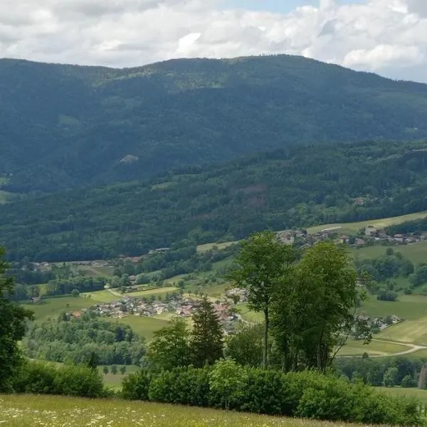 appartement indépendant dans ancien chalet d'alpage, hotel in Burdignin