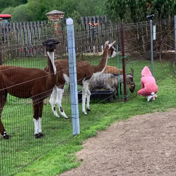 Skliausčių laisvalaikio centras, Hotel in Skliausciai
