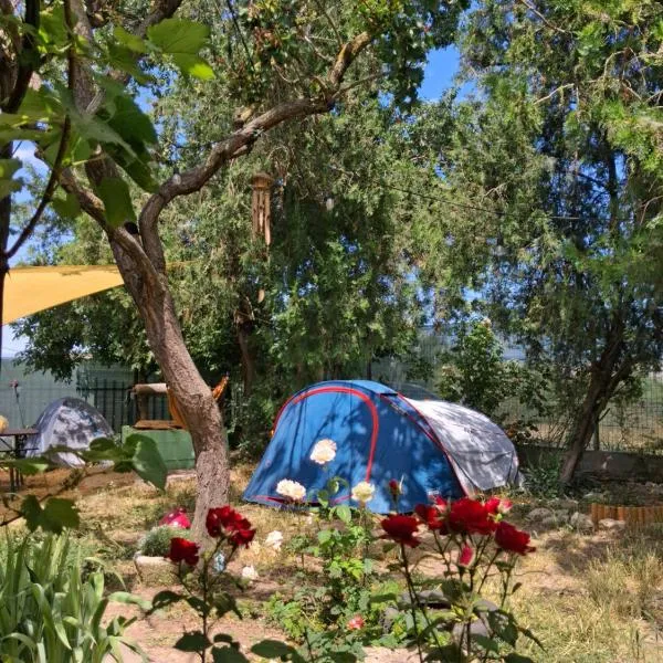 Camping Curtea Pescărușului, hotel v destinaci Vama Veche