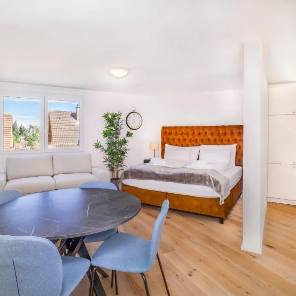 VISIMO Apartments Teufenerstrasse St Gallen - Urban, Direct, Close to nature、ザンクト・ガレンのホテル