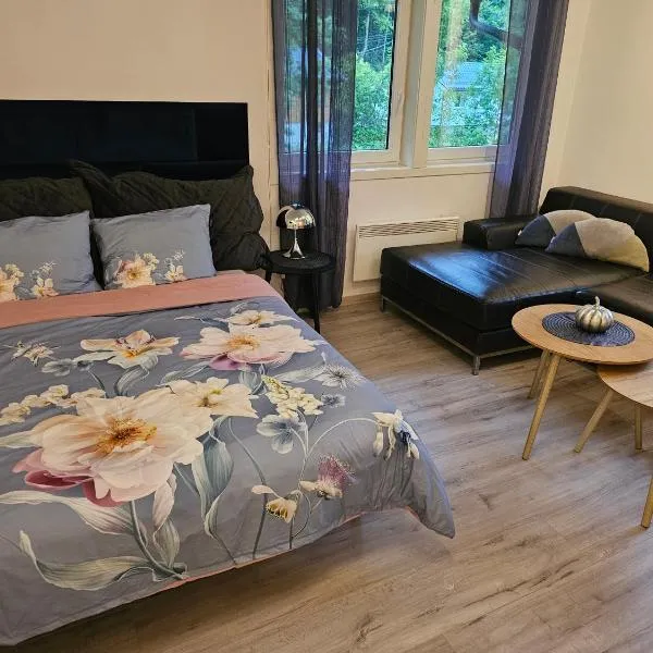 Dalen studio 3, hotel a Dalen