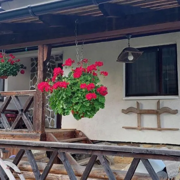 Doru' Bucovinei, Hotel in Moldoviţa