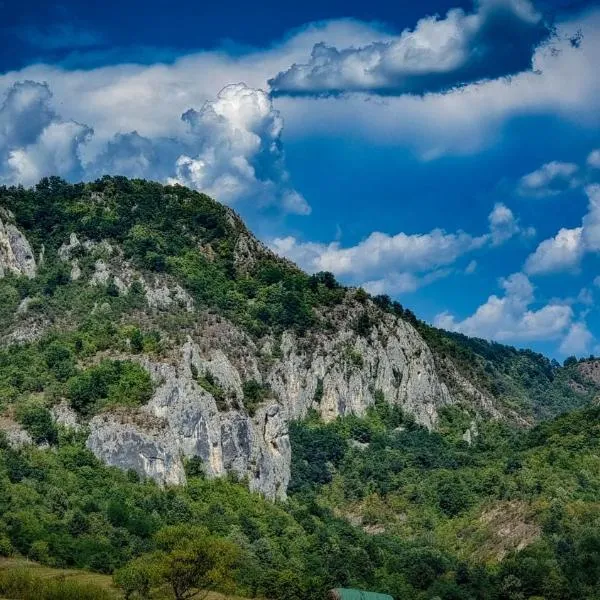 Transilvania Undiscovered - The Hobbit House، فندق في Ardeu