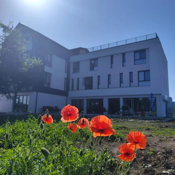 INDRA WELLNESS Retreats and Spa, ξενοδοχείο σε Samurcaşi