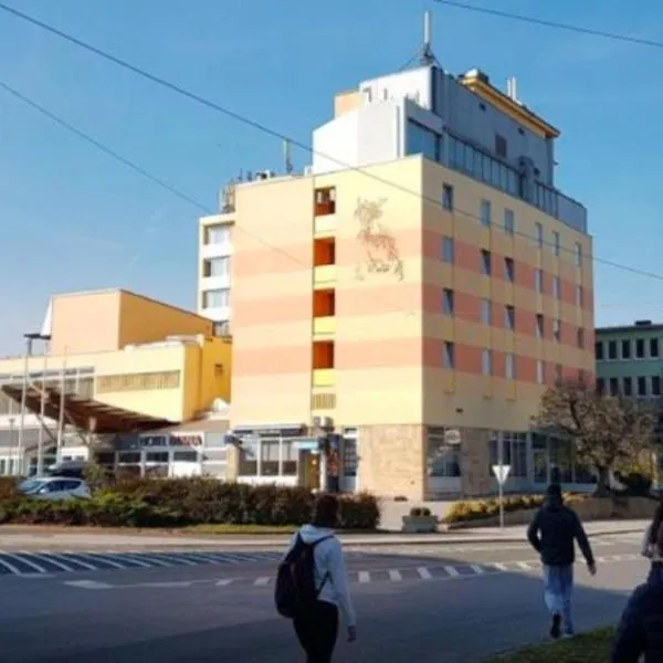 hotel Diana，位于穆尔斯卡索博塔的酒店