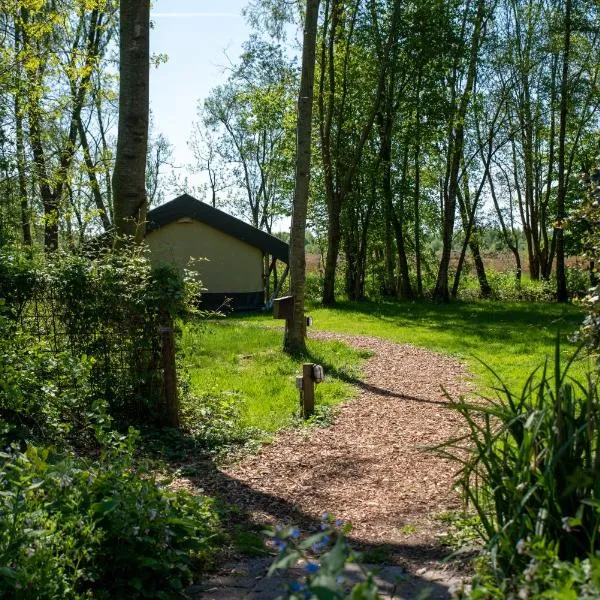 Camping de Heemtuin, hotel in Tripscompagnie