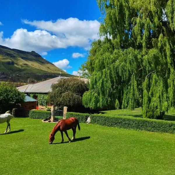Glengyle Guest Farm, מלון בBarkly East