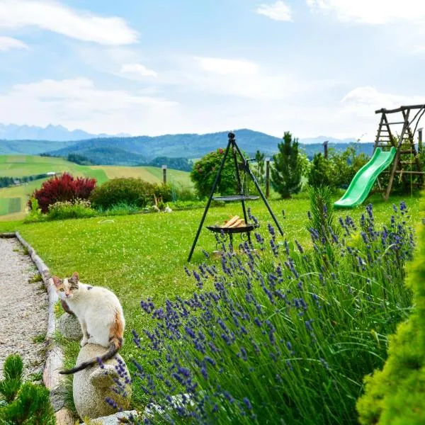 Domek na wzgórzu、ワプシェ・ニジネのホテル