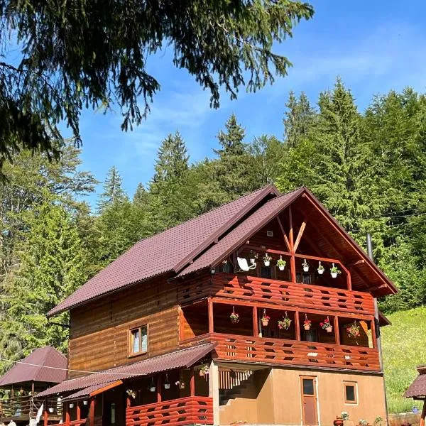 Cabana Sânziana, hotel in Gîrda de Sus