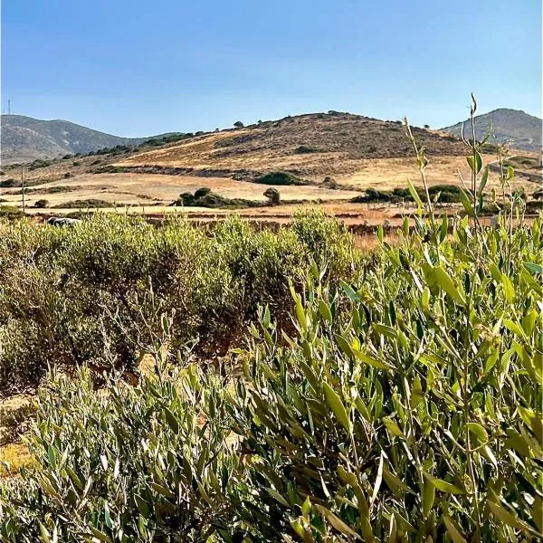 Ampelonas Antiparos, hôtel à Andiparos