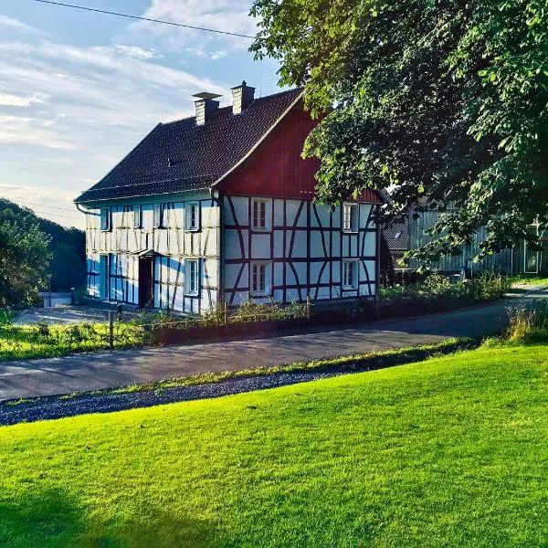 Luxus-Ferienhaus "Hassel 14", hotel in Reichshof 