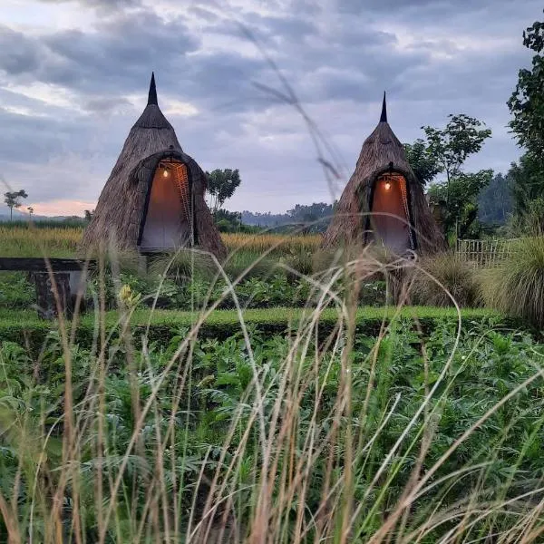 Uma Buug, hotel in Karangasem