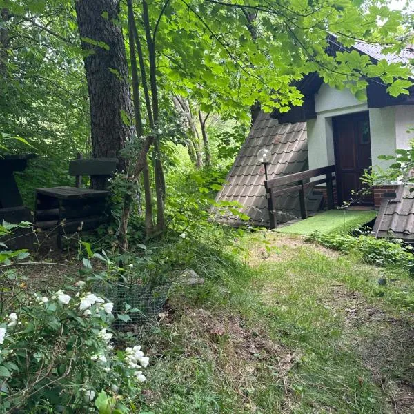 Studio Gościnne ANTEK, hotel in Czarnów