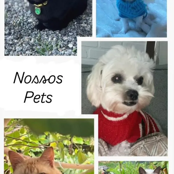 Casa do Point, hotel v destinaci Saquarema