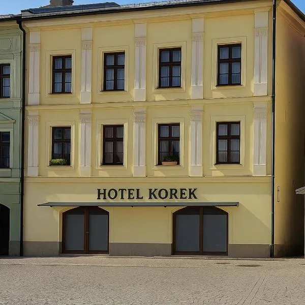 Hotel Korek, hotel en Frýdek-Místek
