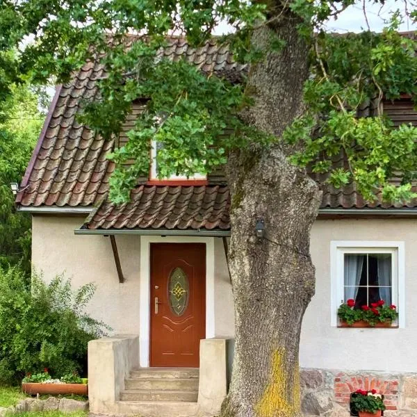 Willa Pod Dębem, hotel en Koczarki