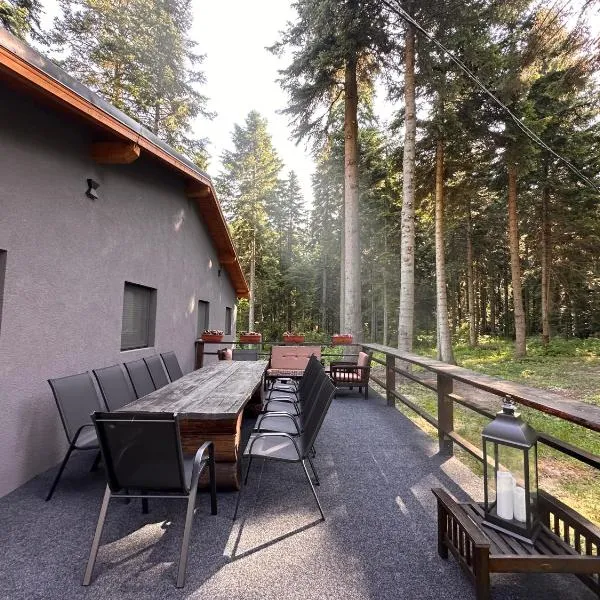 Stylish Alpine Ski Chalet Tirol, hotel in Borovets