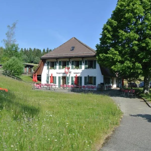 La Hohmatt, hotel v destinaci Tüscherz-Alfermée