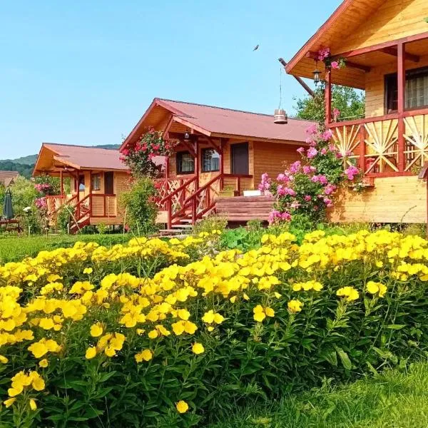 Baltina Parc Transfagarasan、クルテア・デ・アルジェシュのホテル