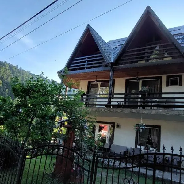 Pensiunea Montan: Durau şehrinde bir otel