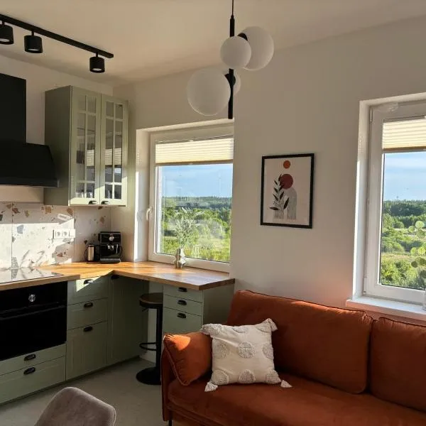 Dębina Lounge z tarasem na dachu, hotel in Debina