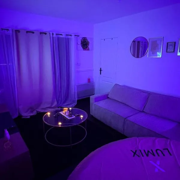 Love room, hotel v destinaci Le Blanc-Mesnil