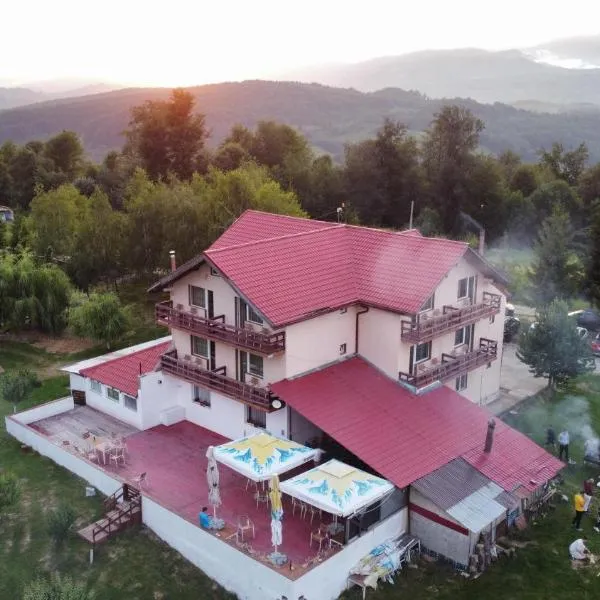 Pensiunea Runcu Stone, hotel in Piatra