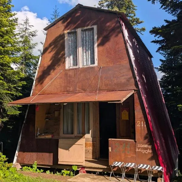 House in forest, hotel in Gomi