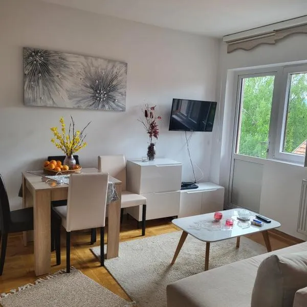 Apartman Stašenka, hotel in Zlatibor