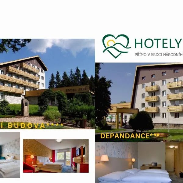 Hotel Srní a Depandance, Hotel in Srní