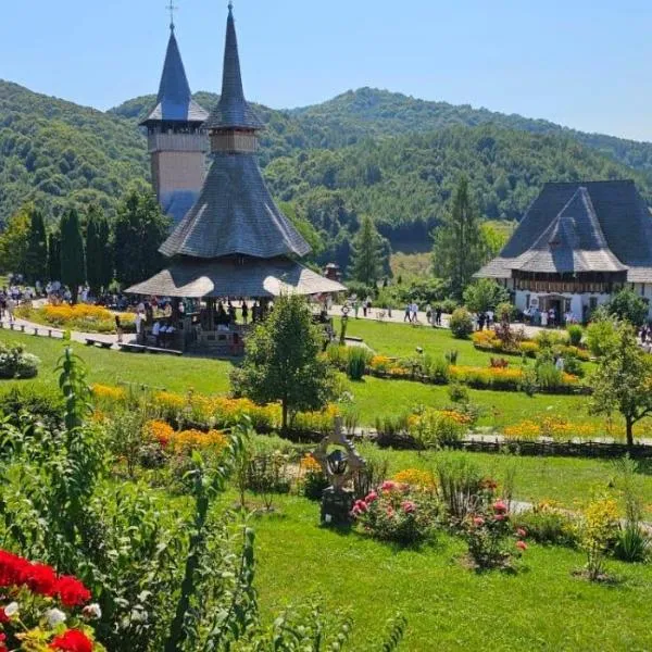 Vila Bârsana, hotel in Bîrsana