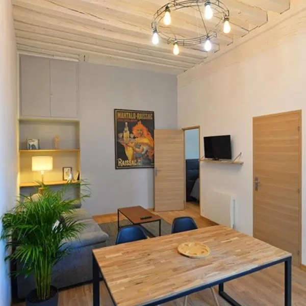 Appartement coeur de ville, hotel in Tours