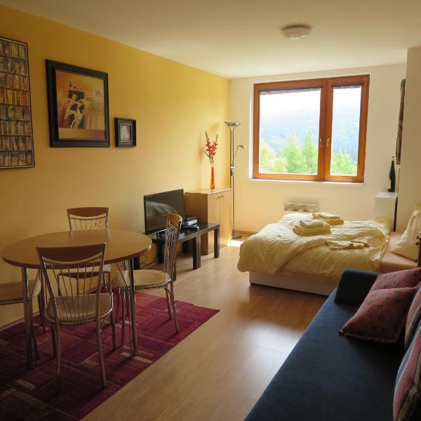 Apartmán Ramzová 27