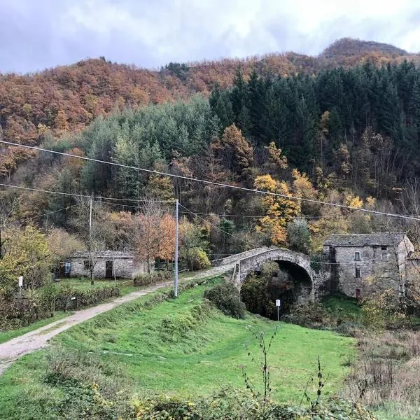 Appartamento Ponte Nuovo Premilcuore, hotel in Premilcuore