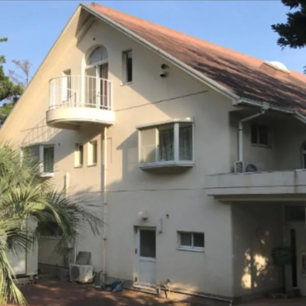 ビーチキャッスルマイウェイ, hôtel à Shimoda