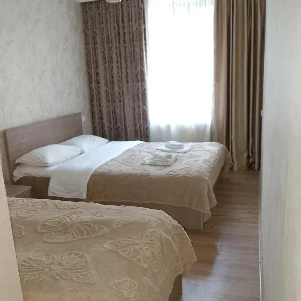 Guest House on V. Pshavela 50, ξενοδοχείο σε Kazbegi