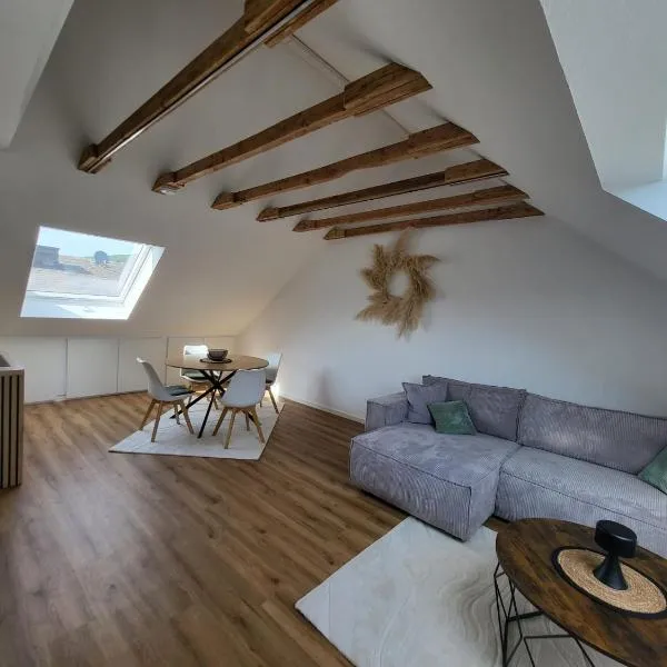 Moselluft2, hotel v destinaci Leiwen